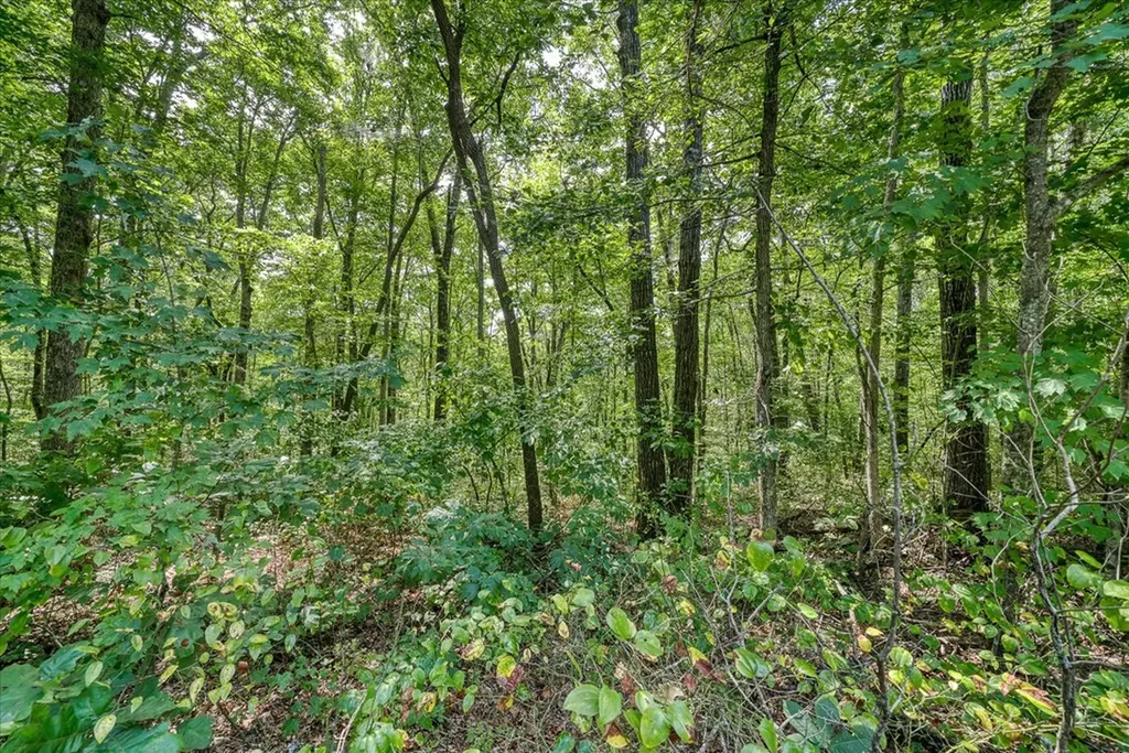 0 Creek Drive Lot 23 Monterey TN 38574