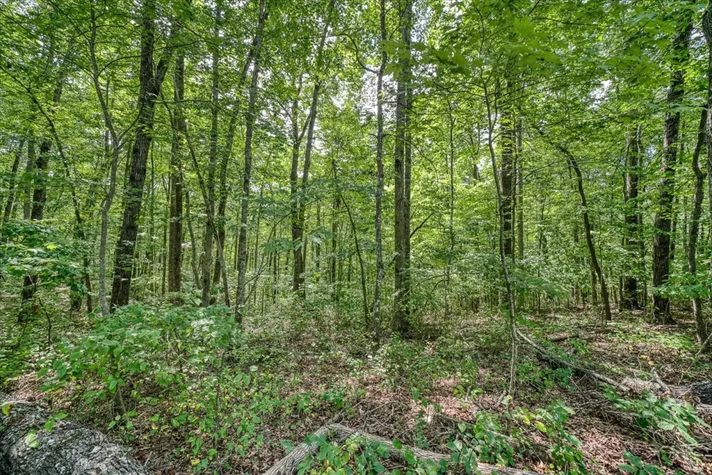 0 Creek Drive Lot 23 Monterey TN 38574
