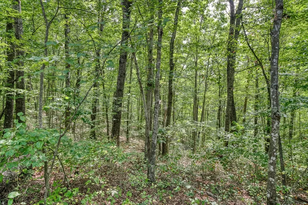 0 Creek Drive Lot 23 Monterey TN 38574