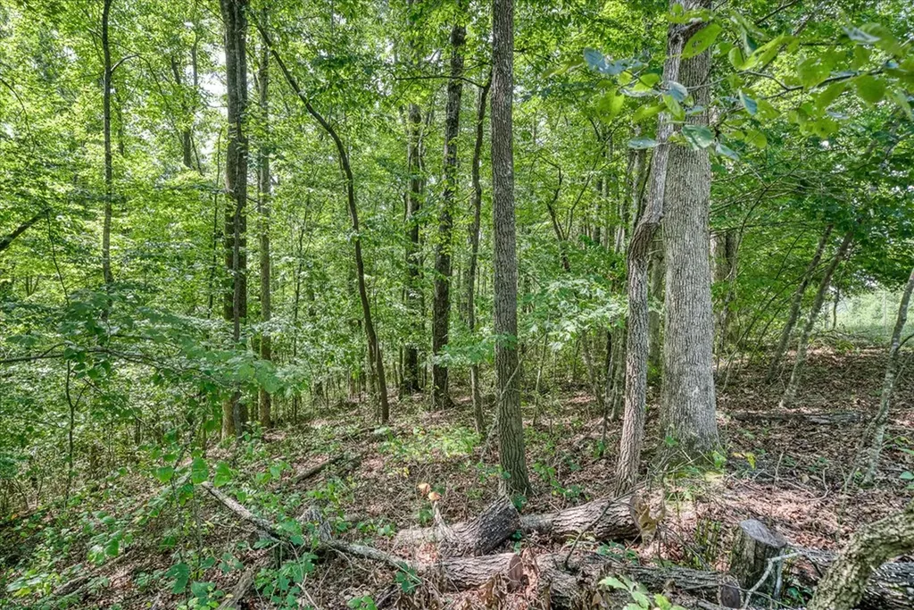 0 Creek Drive Lot 23 Monterey TN 38574