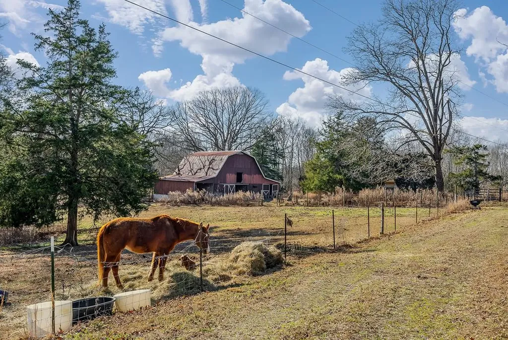 166 Brady Lane Hilham TN 38568-5913