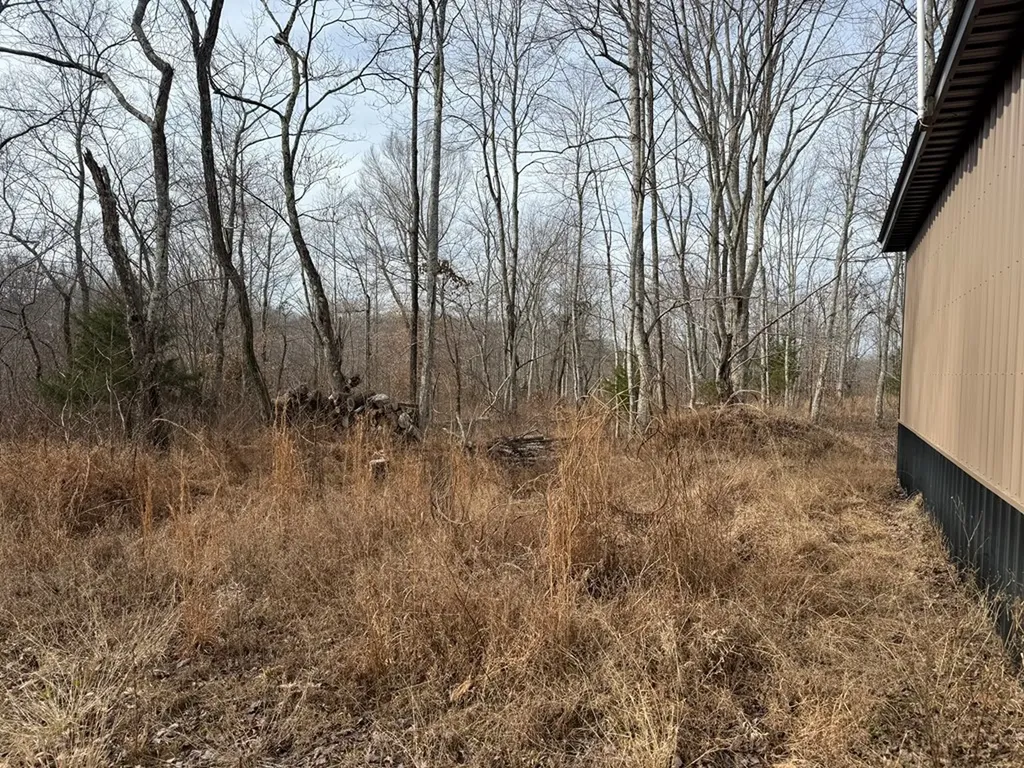 4.52 Ac York Highway Gainesboro TN 38562