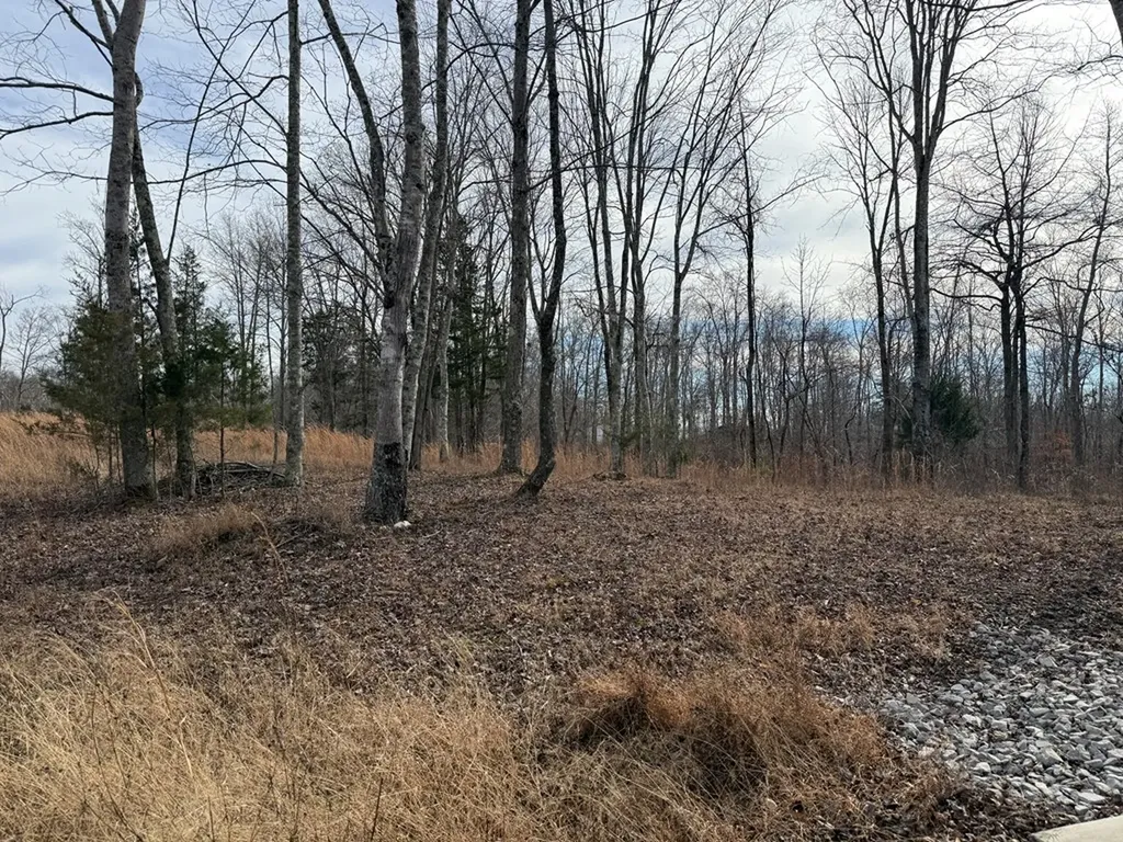 4.52 Ac York Highway Gainesboro TN 38562