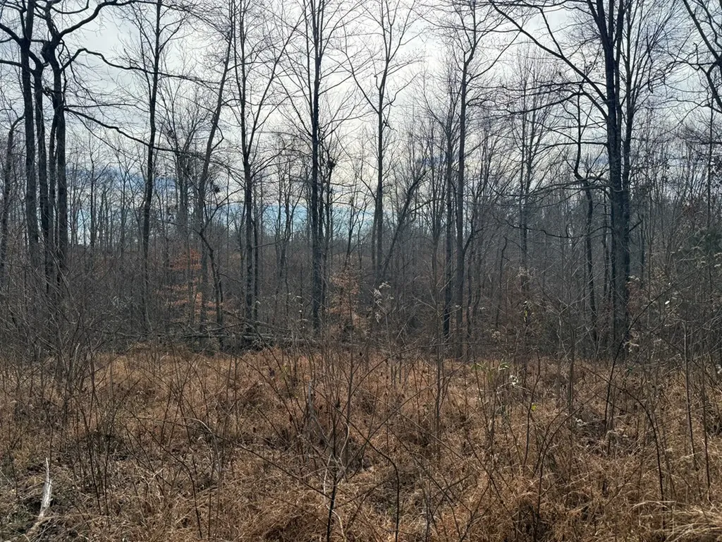 4.52 Ac York Highway Gainesboro TN 38562