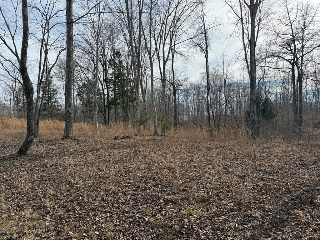 4.52 Ac York Highway Gainesboro TN 38562