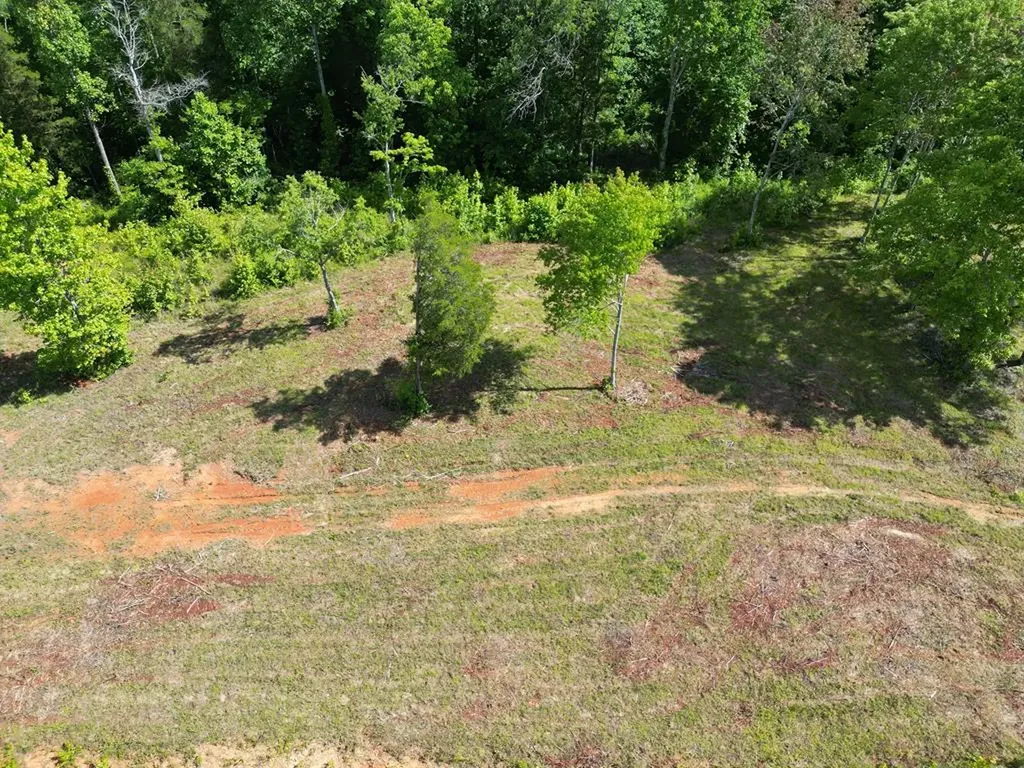 4.52 Ac York Highway Gainesboro TN 38562