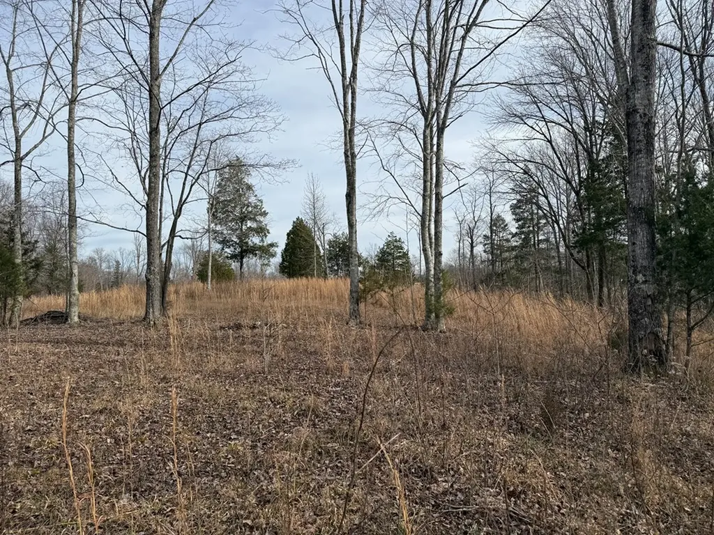 4.52 Ac York Highway Gainesboro TN 38562