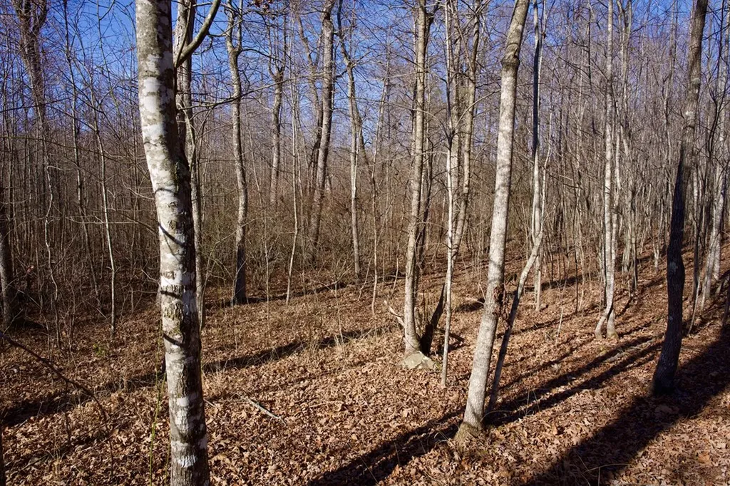 100AC Valley View Road Pikeville TN 37367