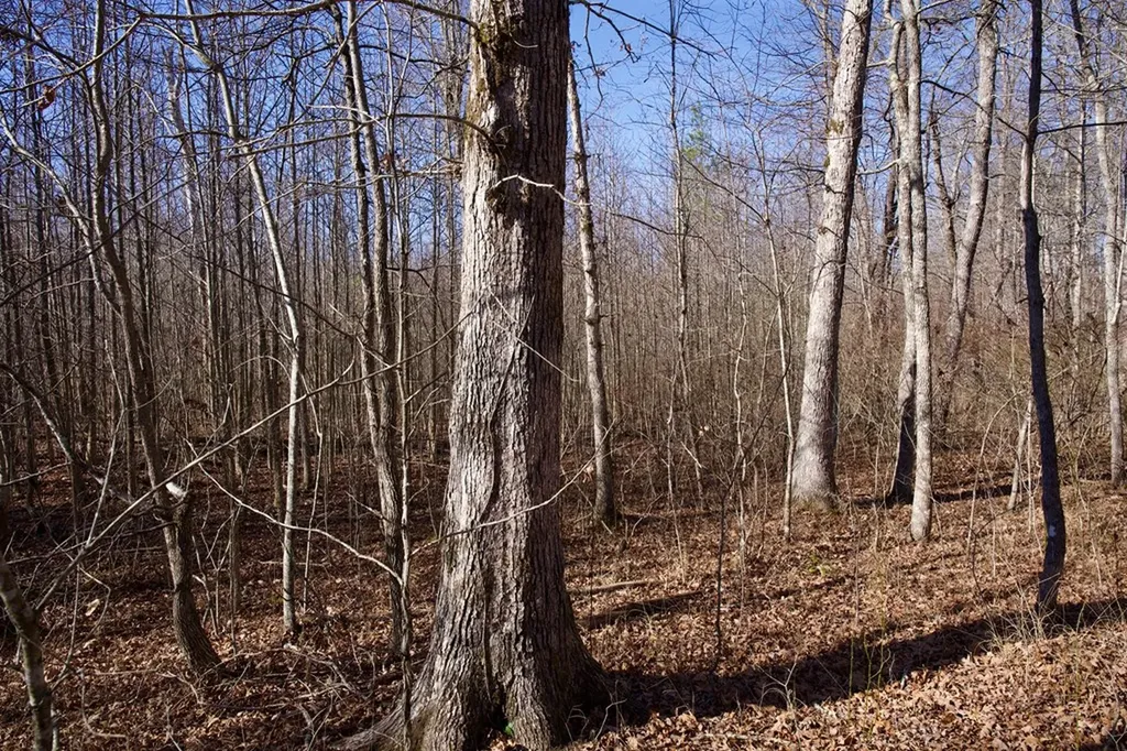 100AC Valley View Road Pikeville TN 37367