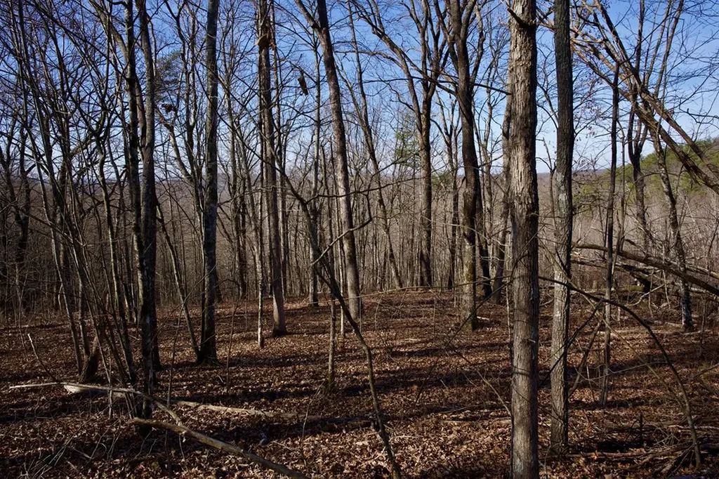 100AC Valley View Road Pikeville TN 37367