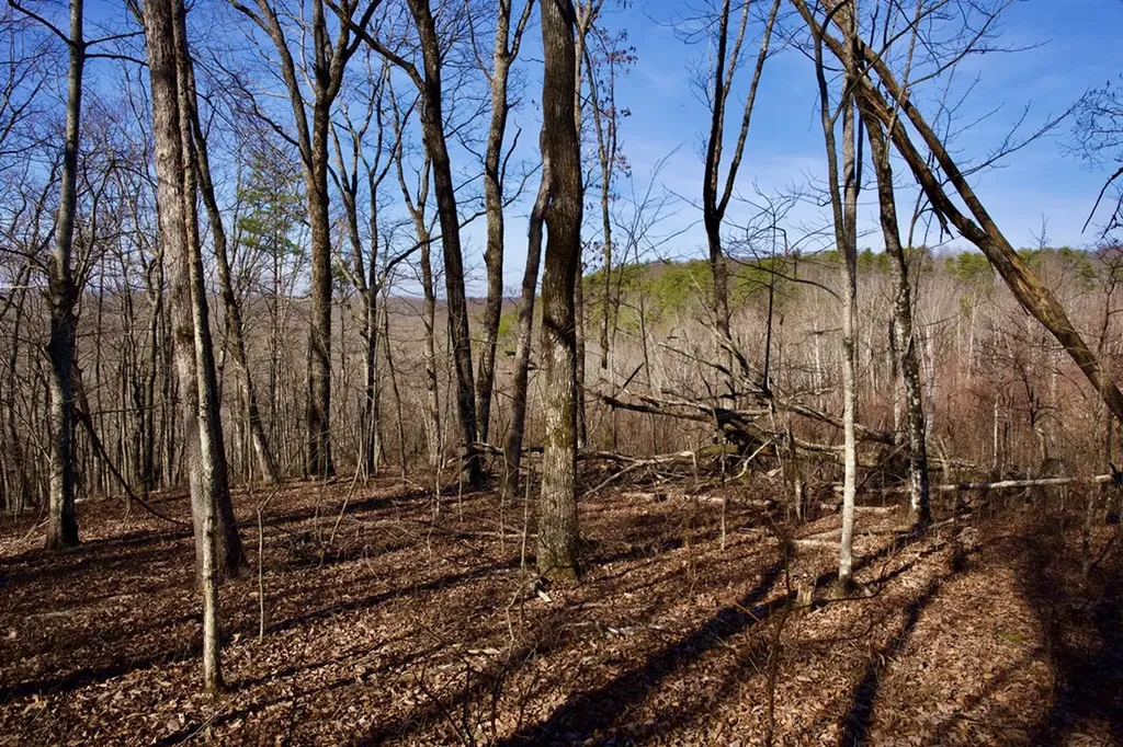 100AC Valley View Road Pikeville TN 37367
