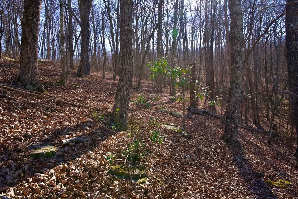 100AC Valley View Road Pikeville TN 37367