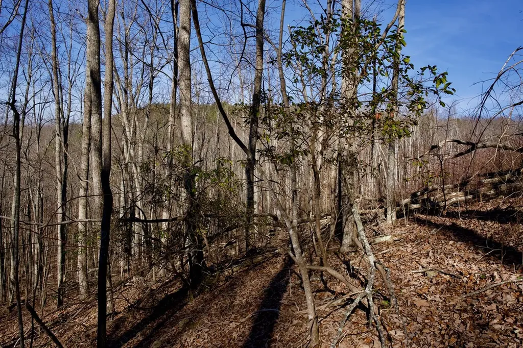 100AC Valley View Road Pikeville TN 37367