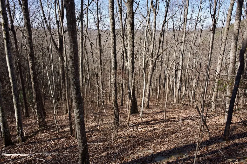 100AC Valley View Road Pikeville TN 37367