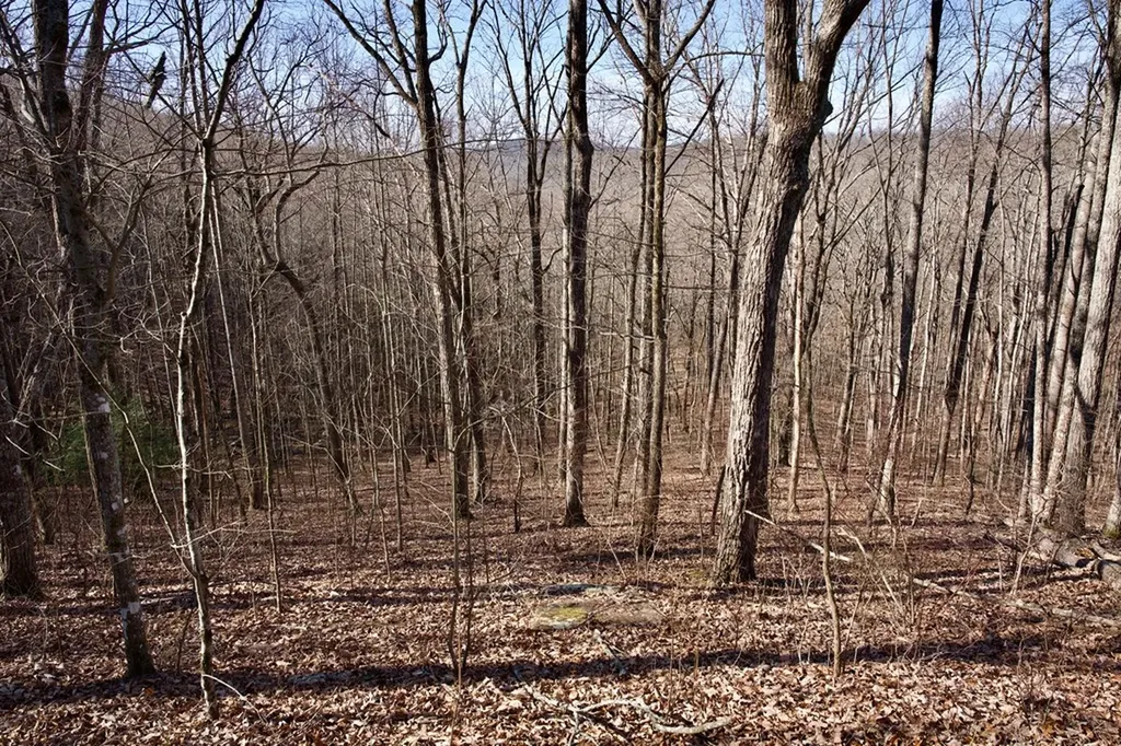 100AC Valley View Road Pikeville TN 37367