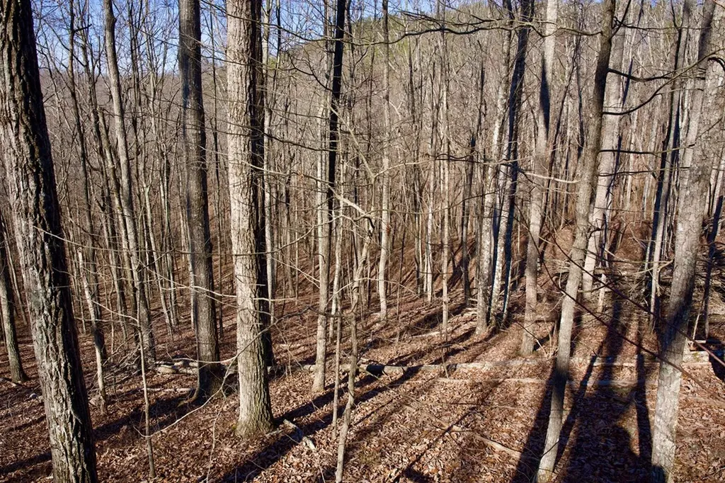 100AC Valley View Road Pikeville TN 37367