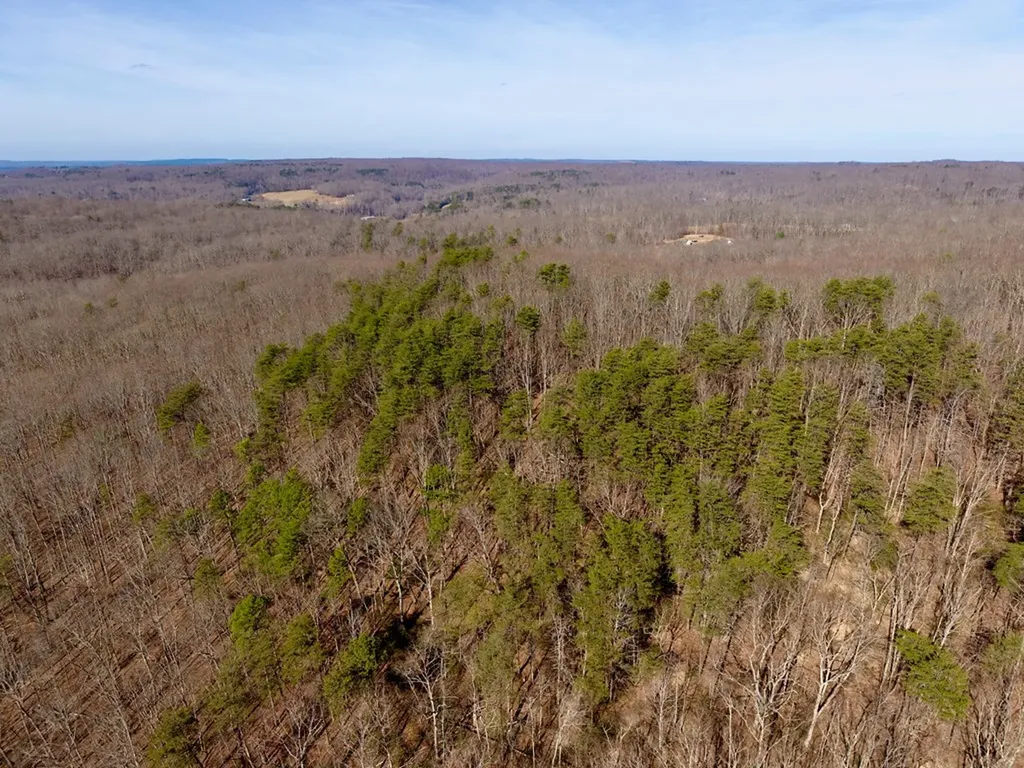 100AC Valley View Road Pikeville TN 37367