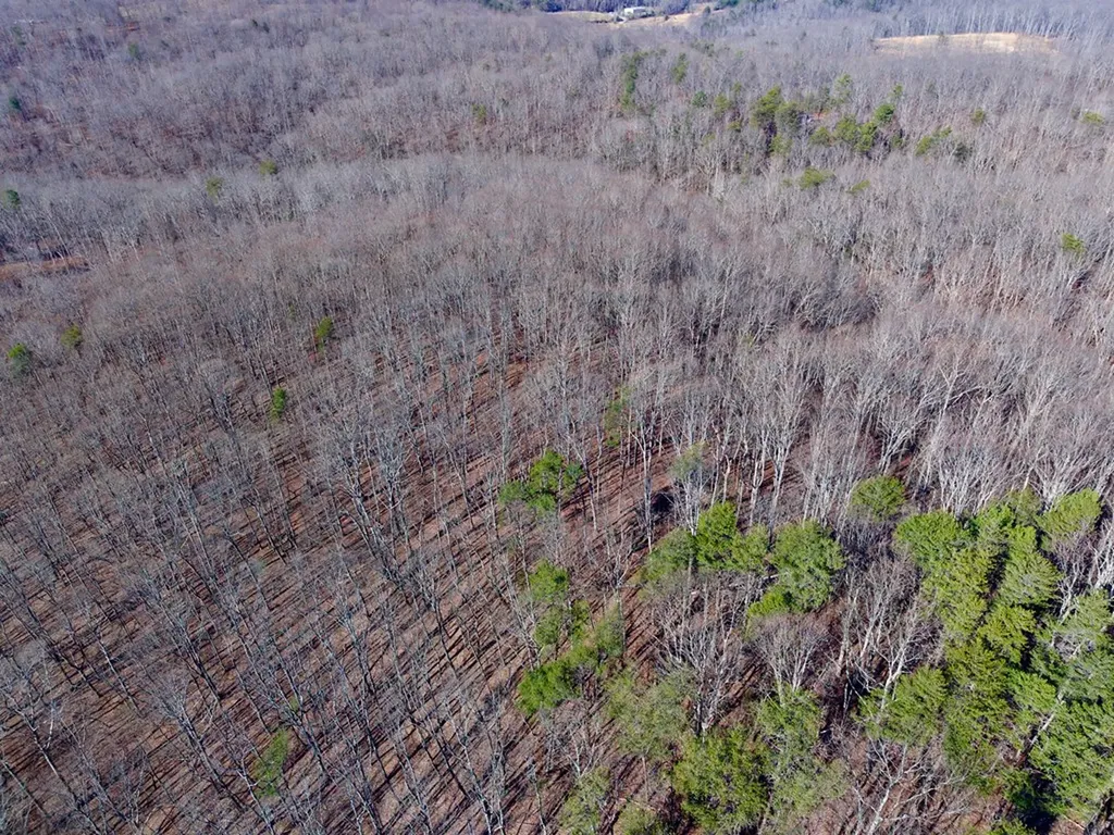 100AC Valley View Road Pikeville TN 37367