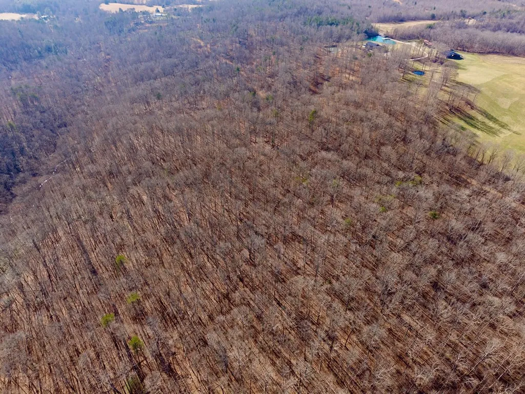 100AC Valley View Road Pikeville TN 37367