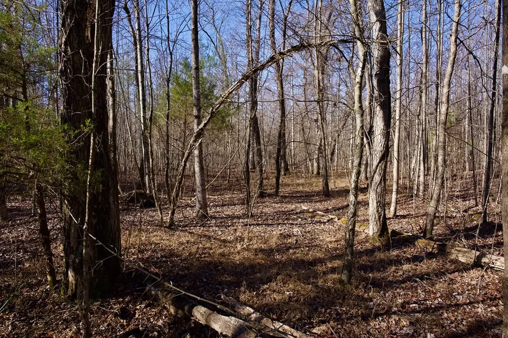 100AC Valley View Road Pikeville TN 37367