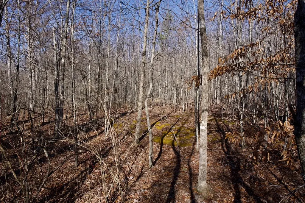 100AC Valley View Road Pikeville TN 37367