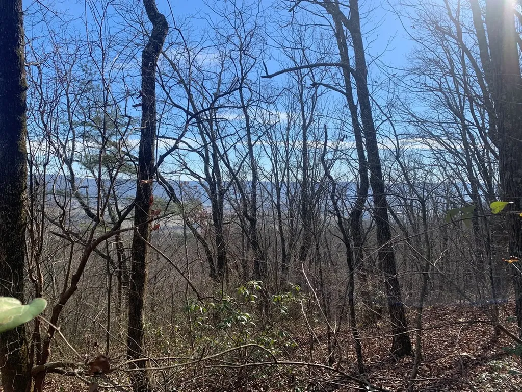 47A Gray Rock View Pikeville TN 37367