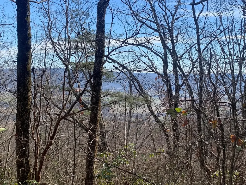 47A Gray Rock View Pikeville TN 37367