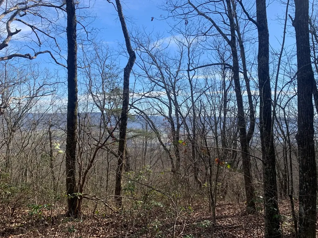 47A Gray Rock View Pikeville TN 37367