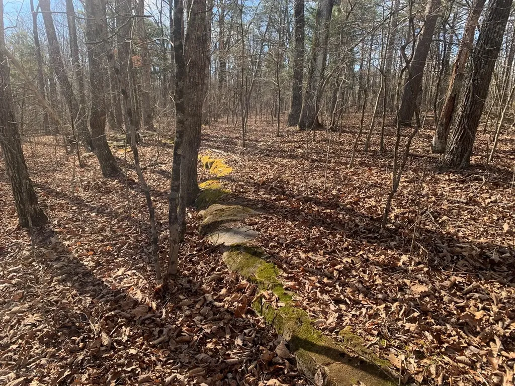47A Gray Rock View Pikeville TN 37367