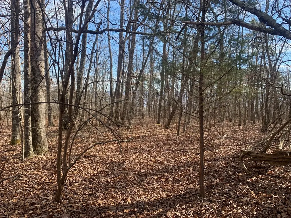 47A Gray Rock View Pikeville TN 37367
