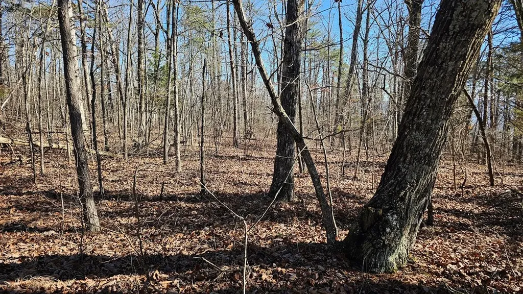Lot 46a Gray Rock View Pikeville TN 37367