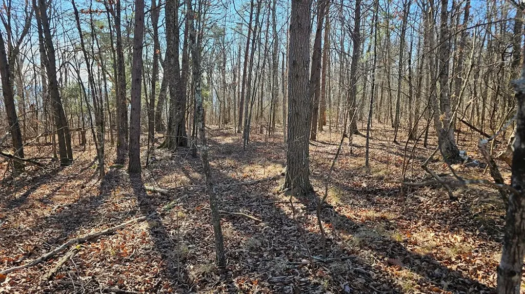 Lot 46a Gray Rock View Pikeville TN 37367
