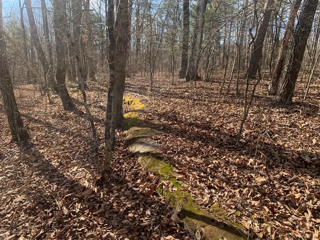 Lot 46a Gray Rock View Pikeville TN 37367