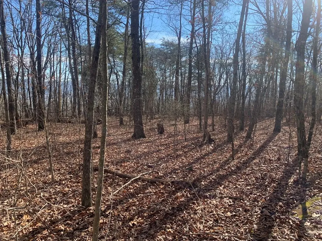 Lot 46a Gray Rock View Pikeville TN 37367