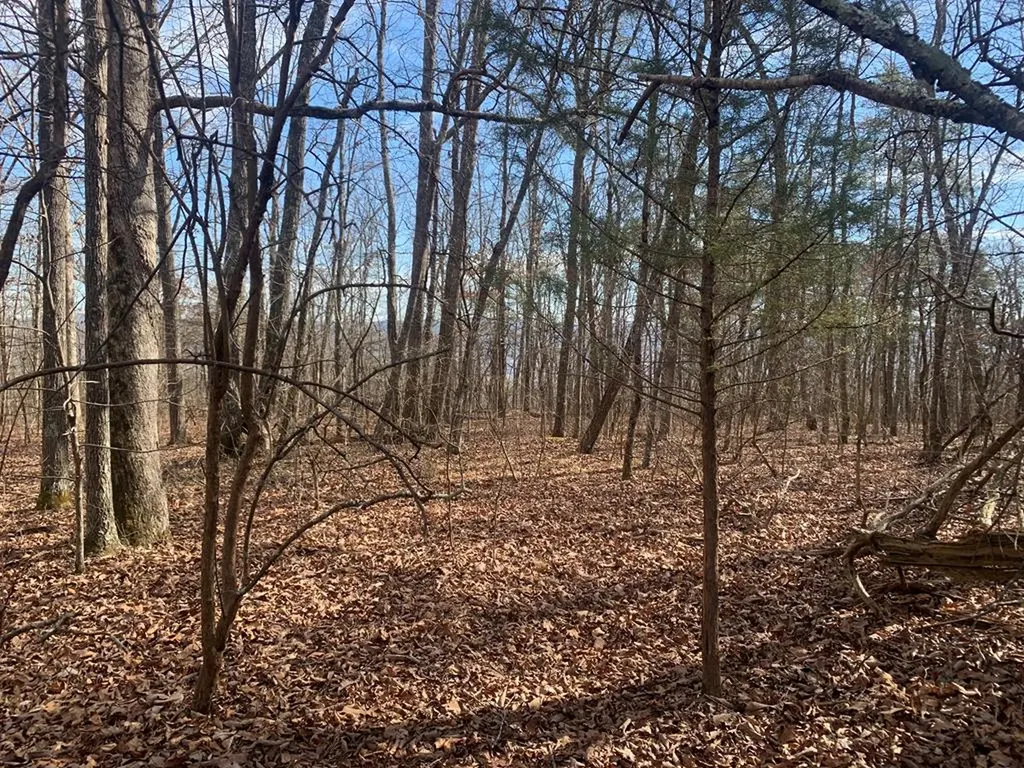 Lot 46a Gray Rock View Pikeville TN 37367