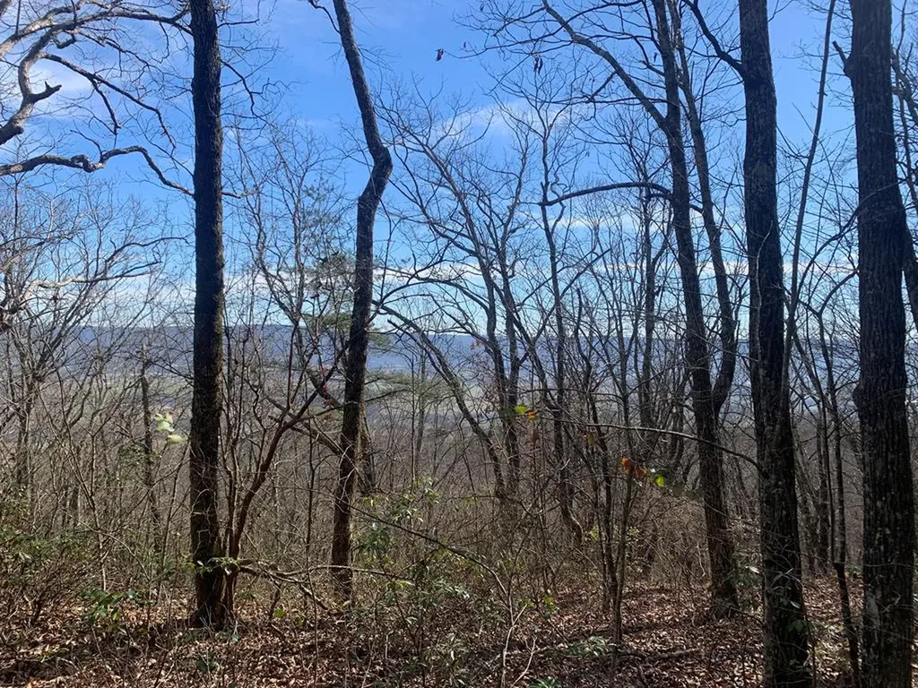 Lot 46a Gray Rock View Pikeville TN 37367