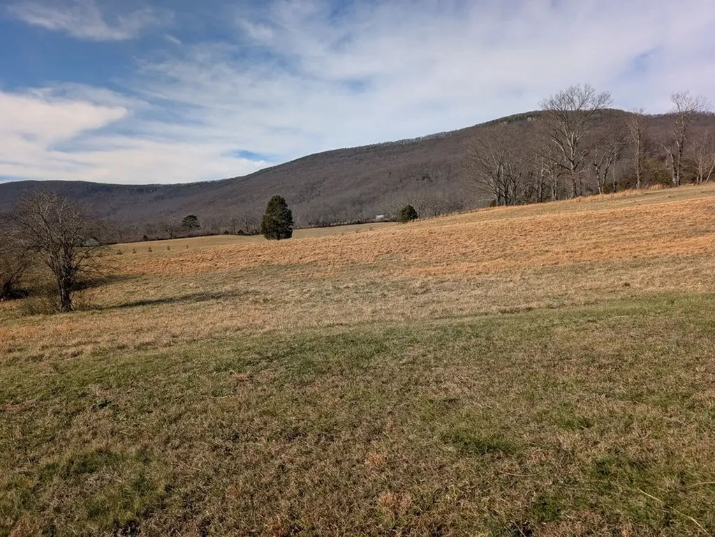 29 Brady Lane Crossville TN 38555