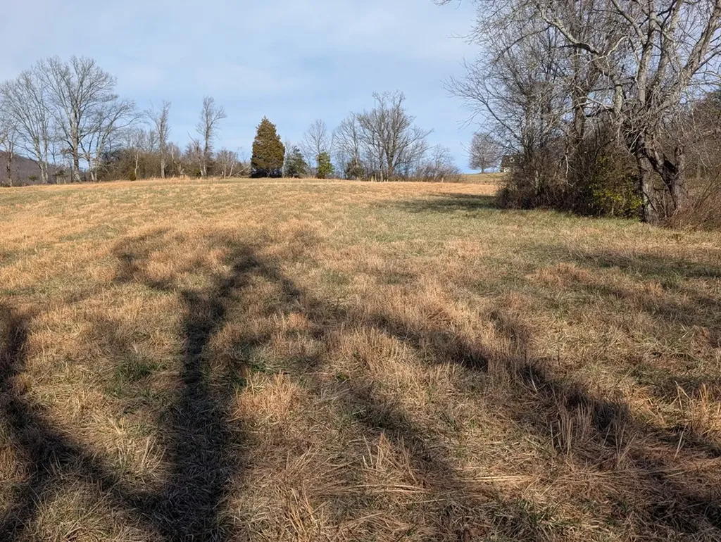 29 Brady Lane Crossville TN 38555
