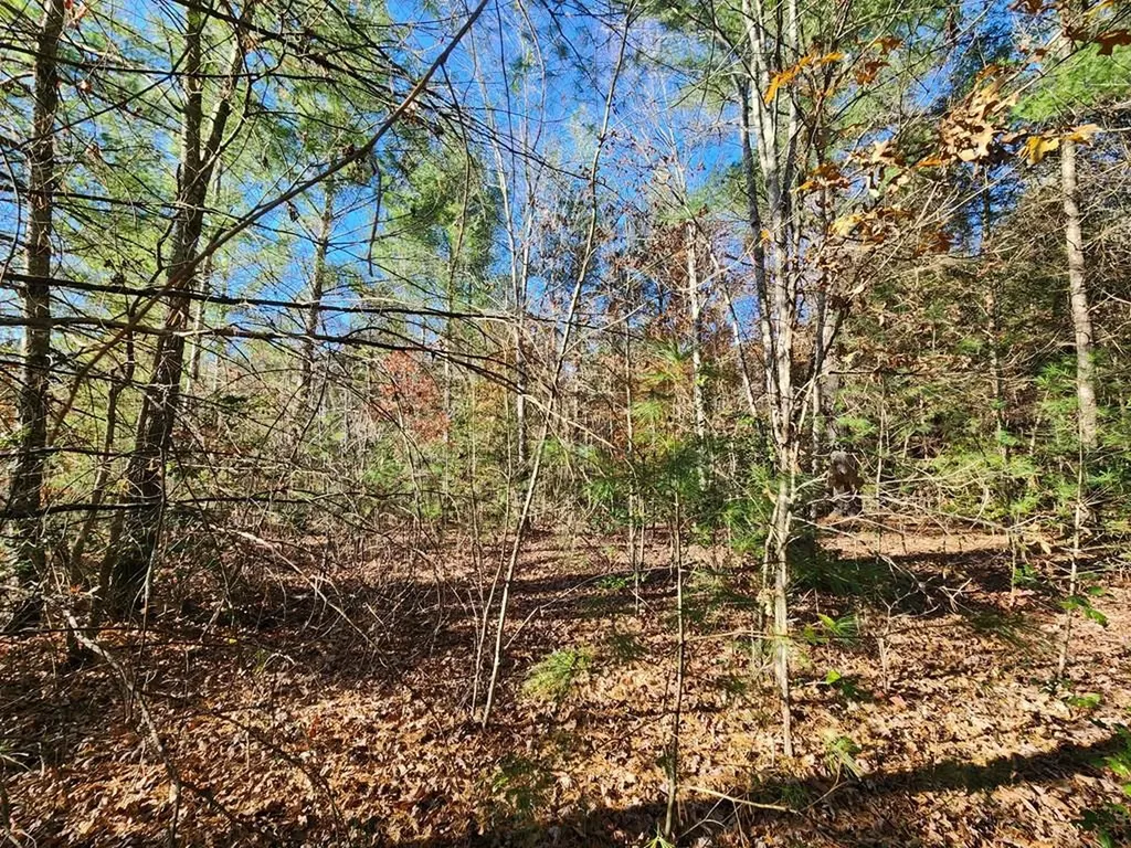 Lot 25 Shotgun Annie Road Jamestown TN 38556