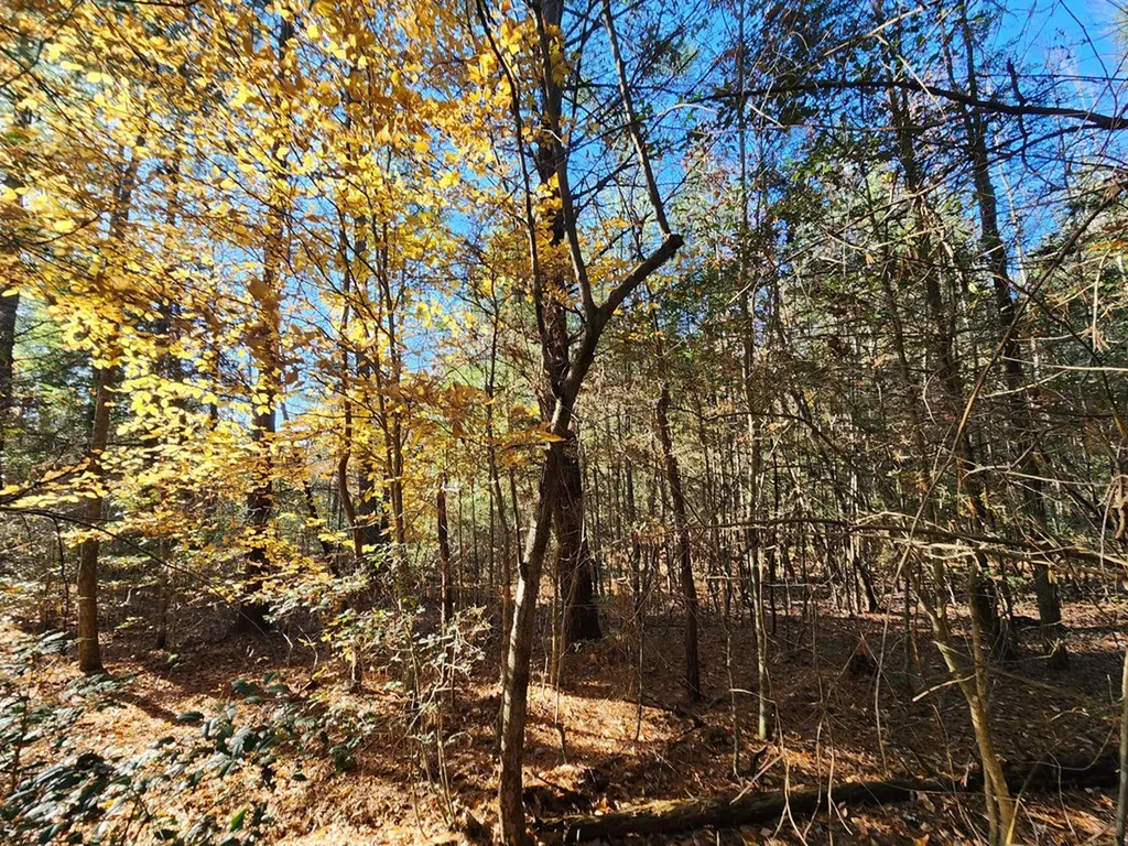 Lot 25 Shotgun Annie Road Jamestown TN 38556