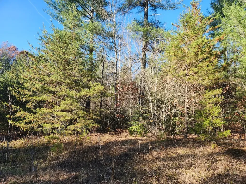 Lot 25 Shotgun Annie Road Jamestown TN 38556