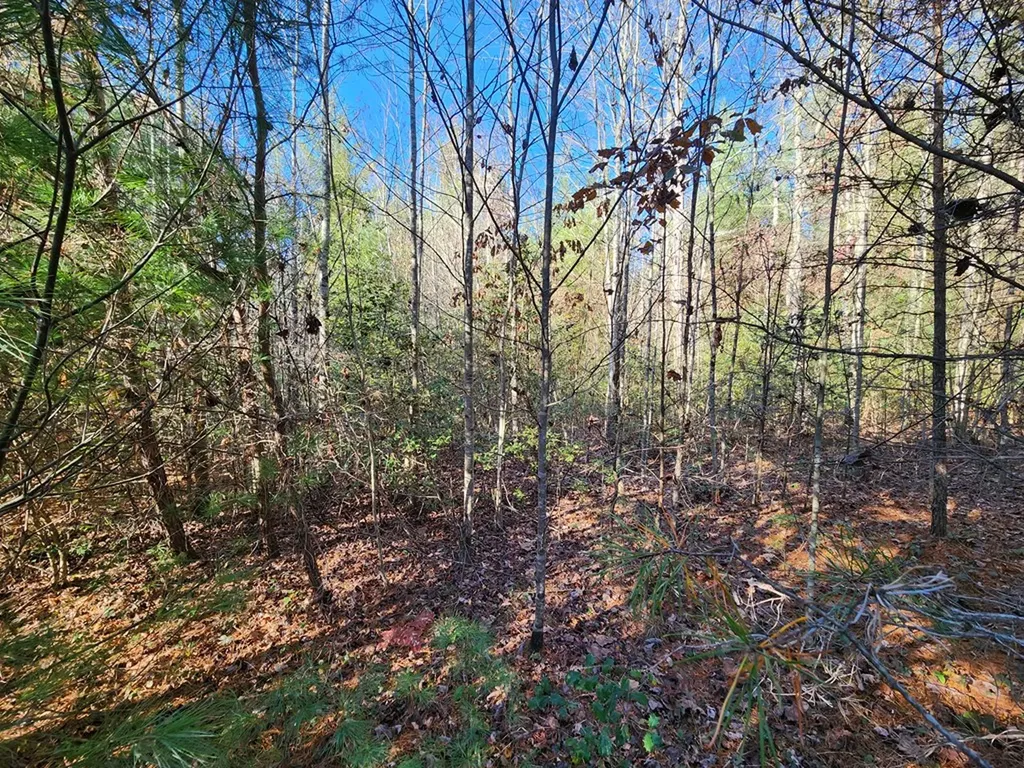 Lot 25 Shotgun Annie Road Jamestown TN 38556