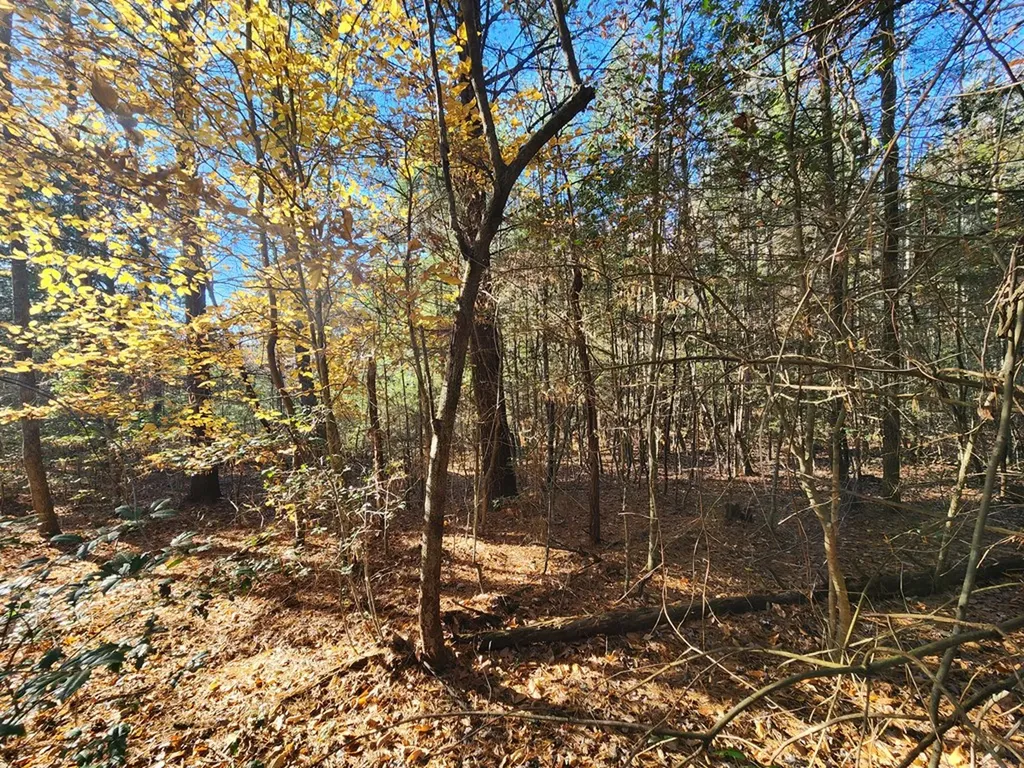 Lot 25 Shotgun Annie Road Jamestown TN 38556
