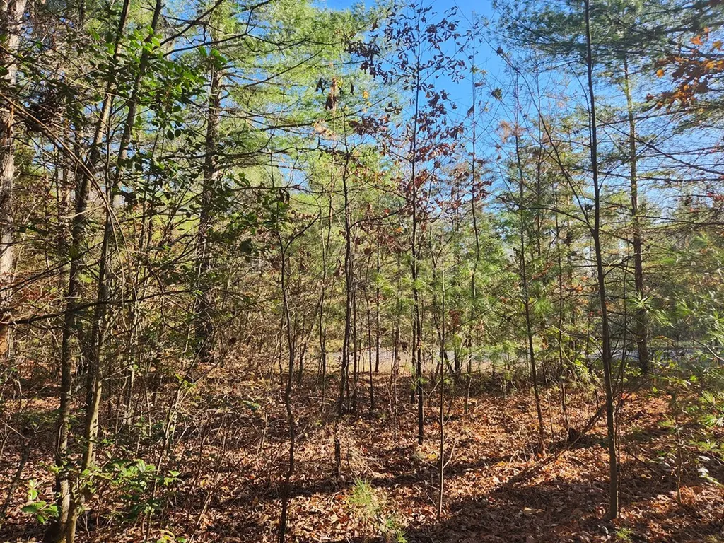 Lot 25 Shotgun Annie Road Jamestown TN 38556