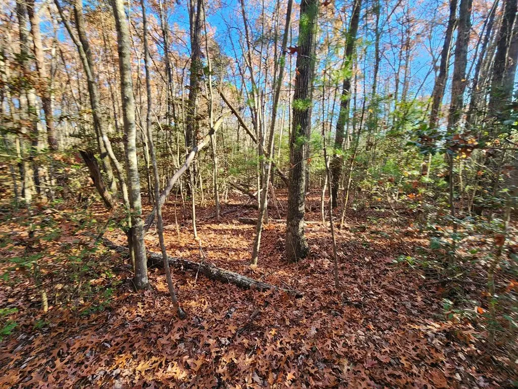 Lot 27 Cliffhouse Way Jamestown TN 38556