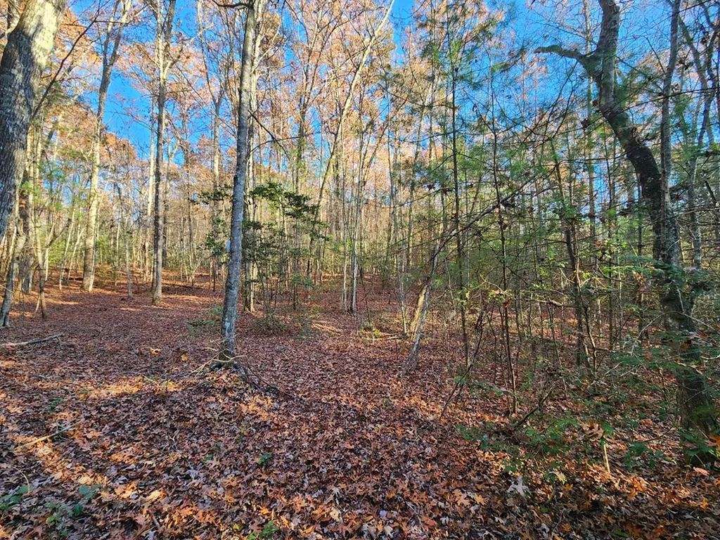 Lot 27 Cliffhouse Way Jamestown TN 38556