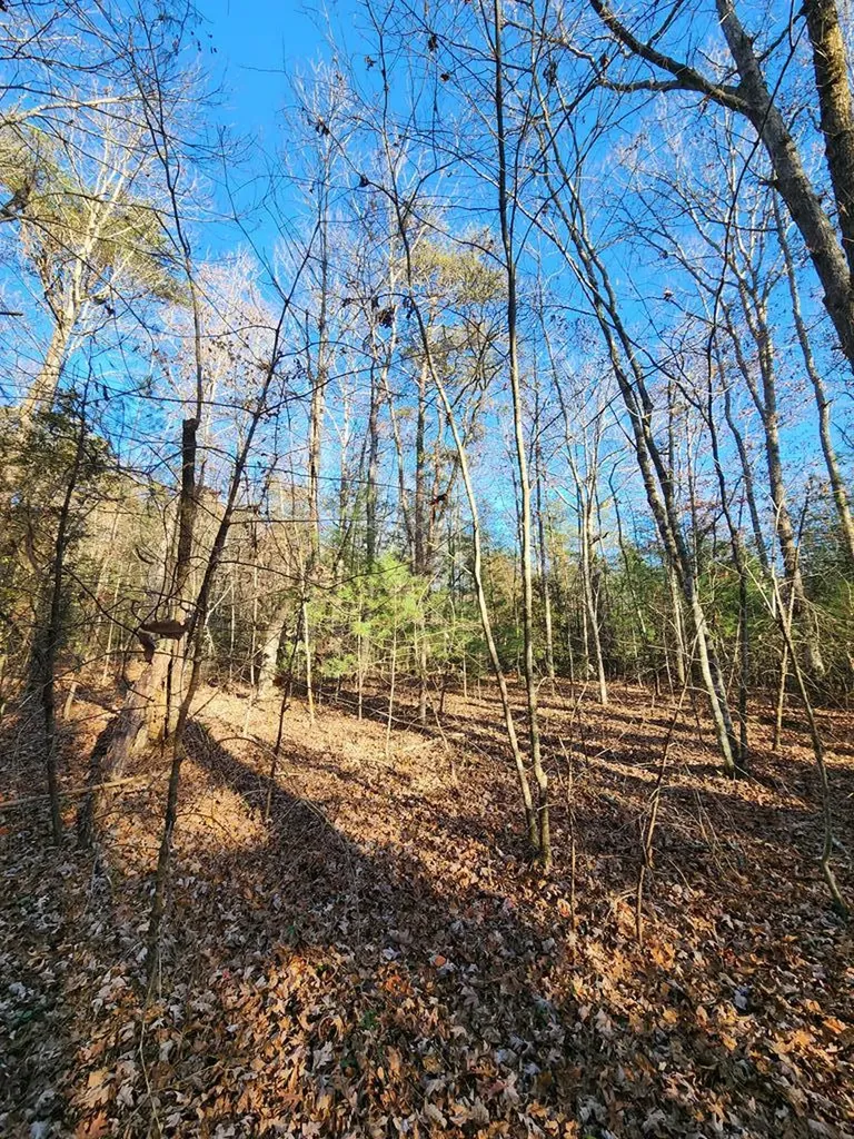Lot 27 Cliffhouse Way Jamestown TN 38556