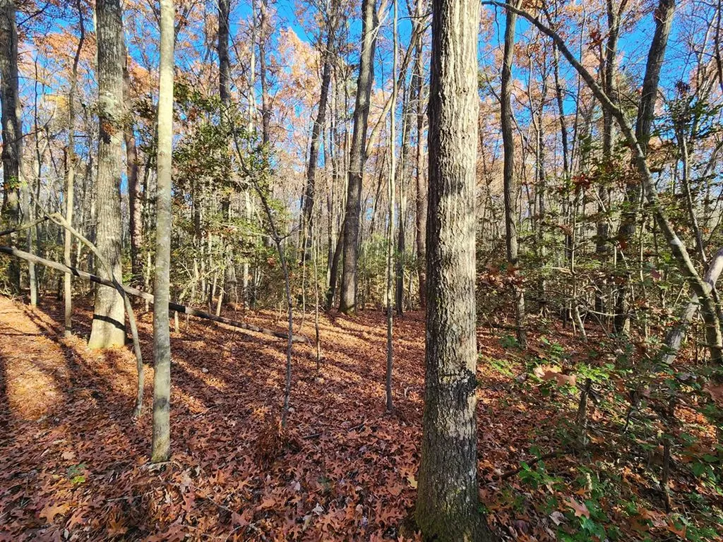 Lot 27 Cliffhouse Way Jamestown TN 38556