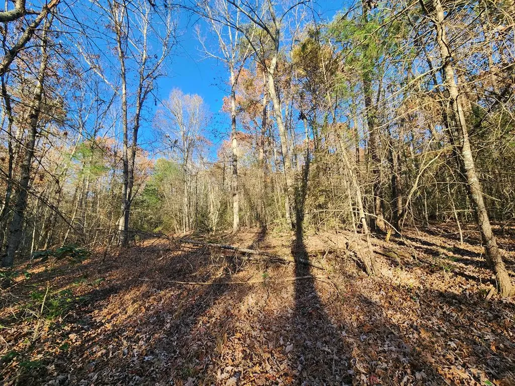 Lot 27 Cliffhouse Way Jamestown TN 38556