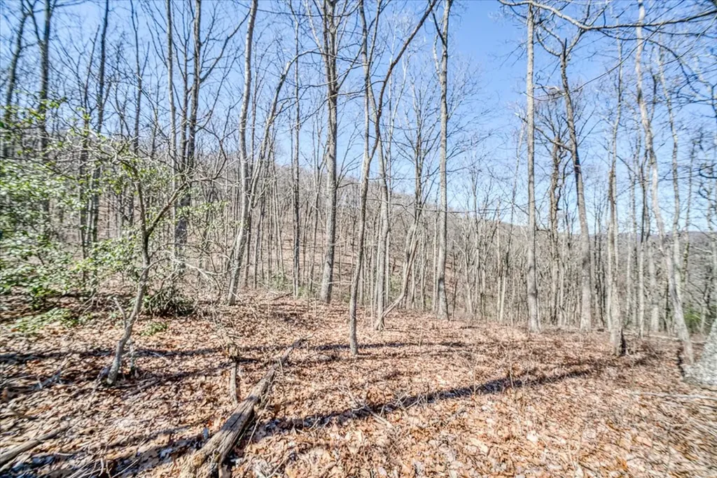 0 Lots 734 & 735 Renegade Parkway Crab Orchard TN 37723
